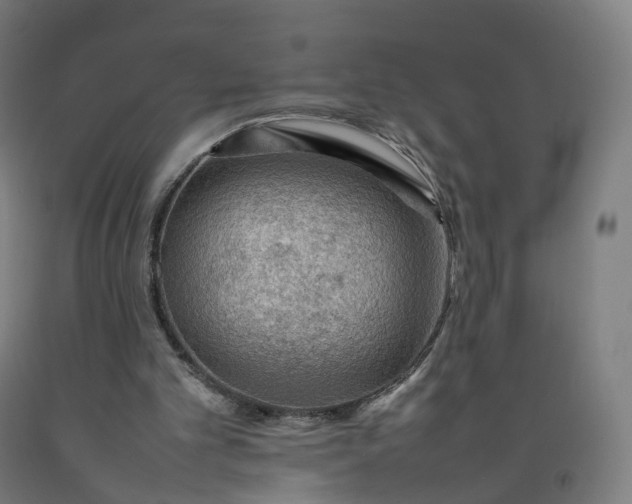 X0000092250101200709281152