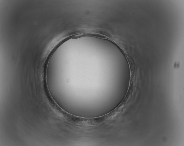 X0000092250103200709281152