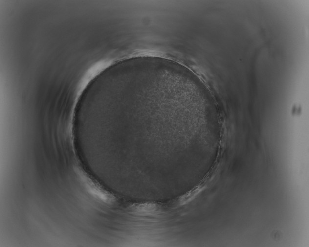 X0000092250104200709281152