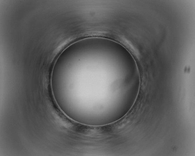 X0000092250107200709281152