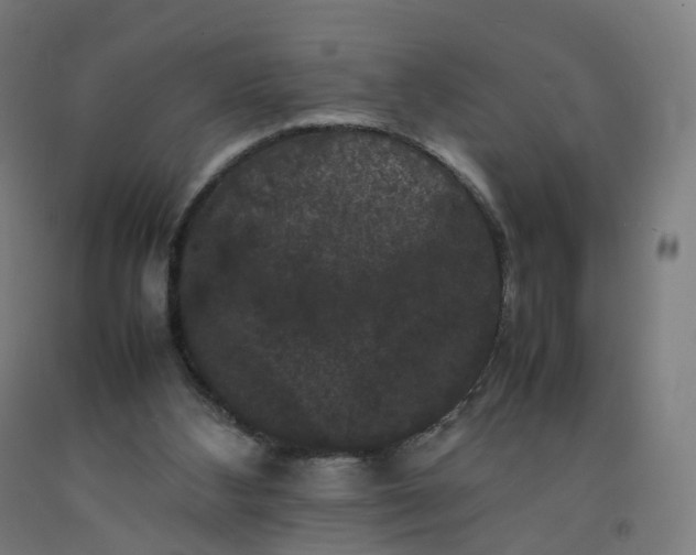 X0000092250108200709281152