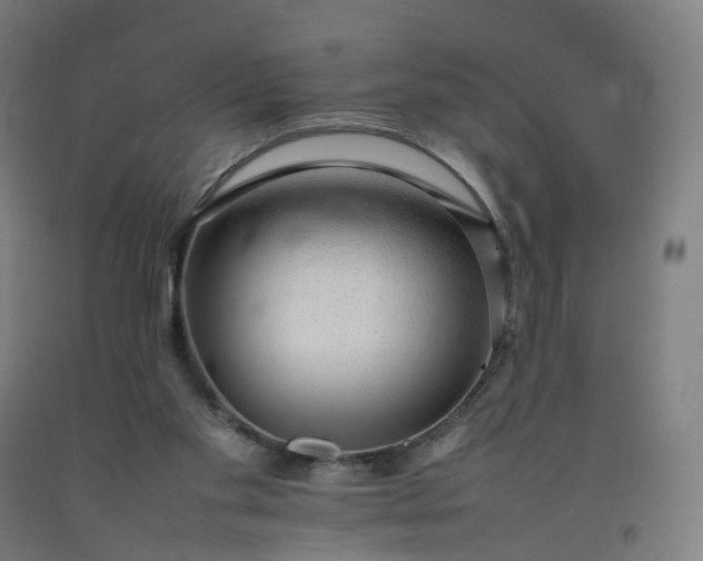 X0000092250109200709281152