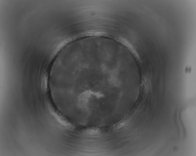 X0000092250110200709281152