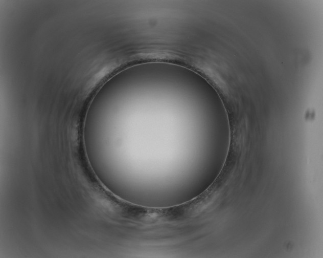 X0000092250111200709281152