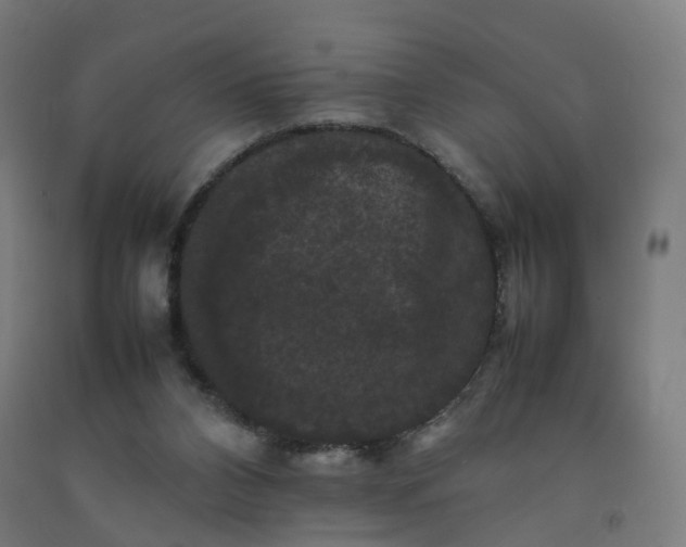 X0000092250112200709281152