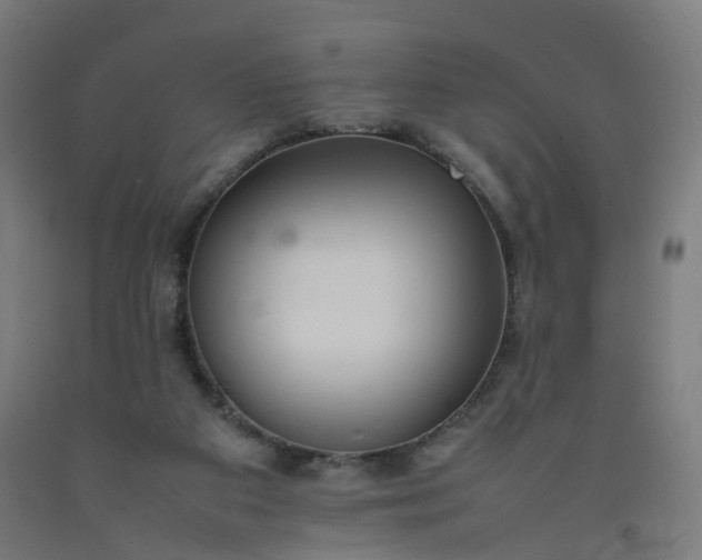 X0000092250113200709281152