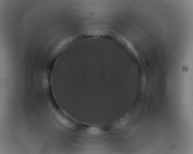 X0000092250114200709281152