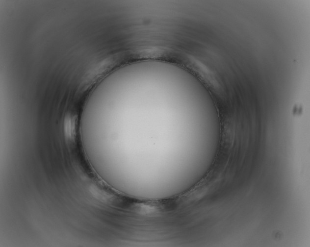 X0000092250118200709281152