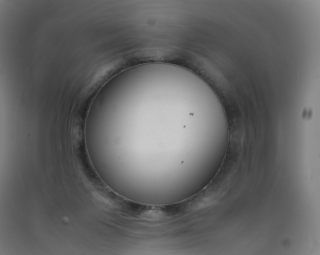 X0000092250119200709281152