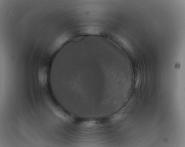 X0000092250120200709281152