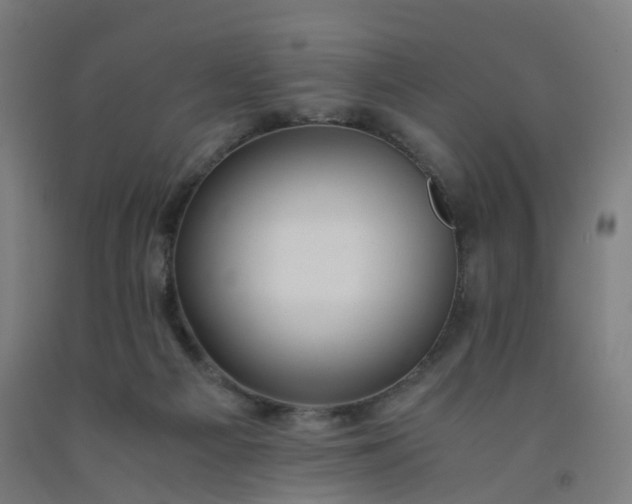 X0000092250121200709281152