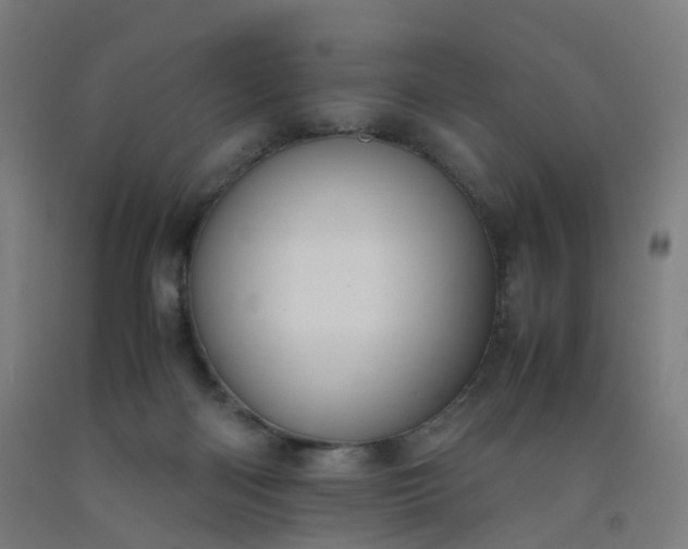 X0000092250122200709281152