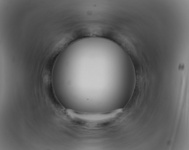 X0000092250123200709281152