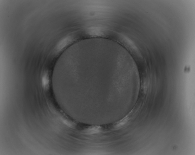 X0000092250124200709281152