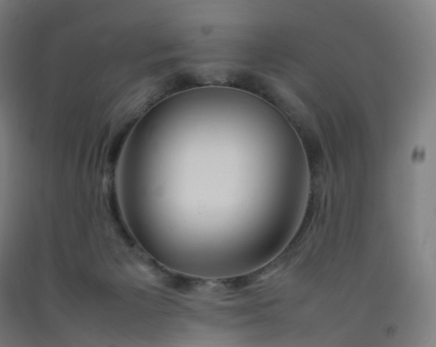 X0000092250125200709281152