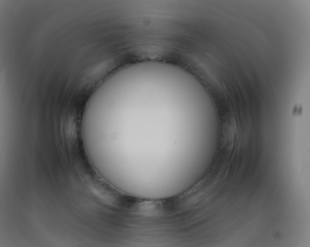 X0000092250126200709281152