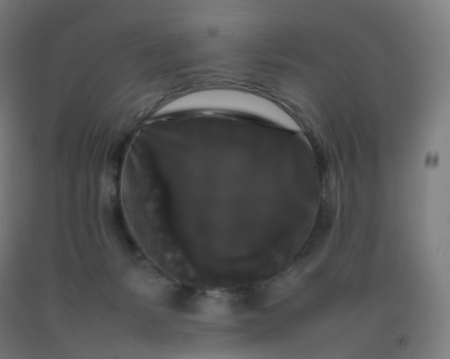 X0000092250127200709281152