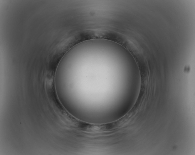 X0000092250129200709281151