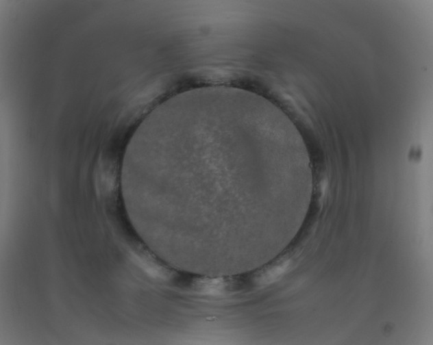 X0000092250131200709281151