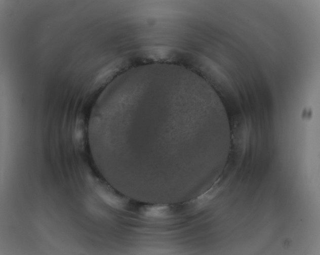 X0000092250132200709281151