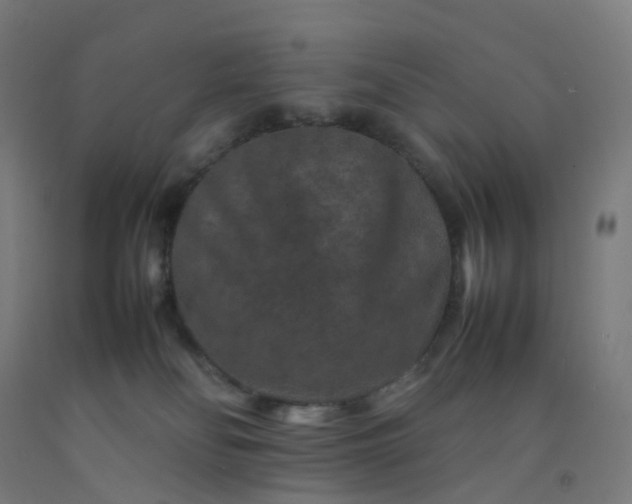 X0000092250134200709281151