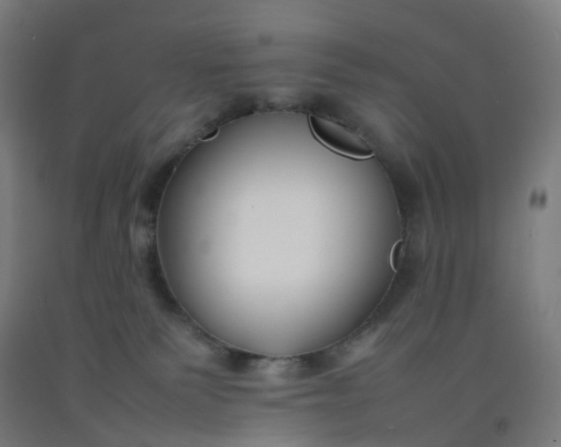 X0000092250135200709281151