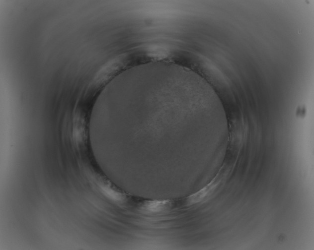 X0000092250136200709281151