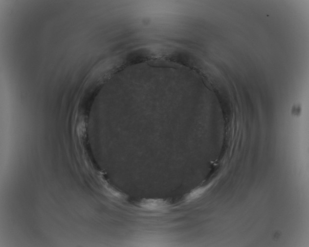 X0000092250137200709281151