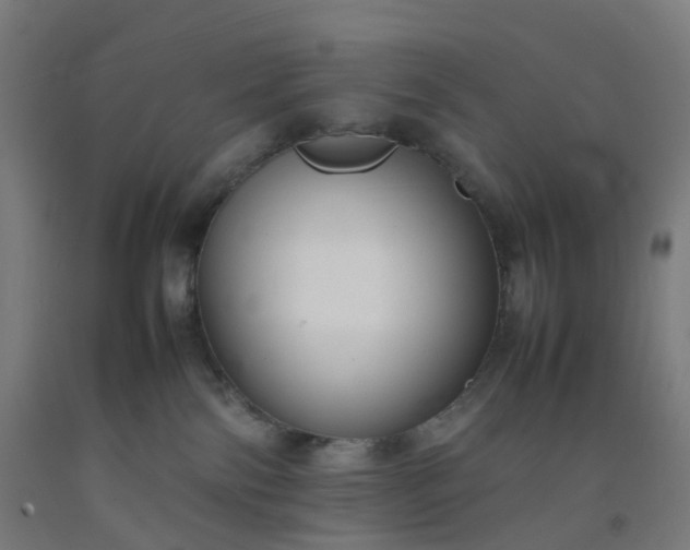 X0000092250138200709281151