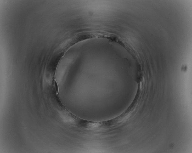 X0000092250139200709281151