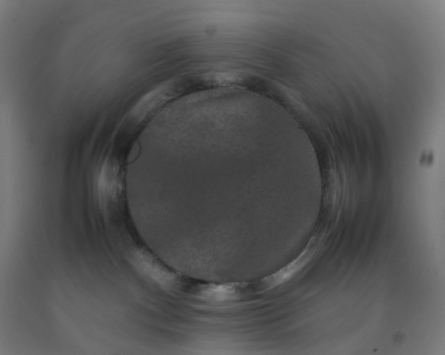 X0000092250140200709281151