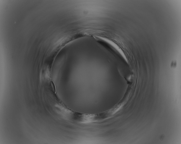 X0000092250143200709281151