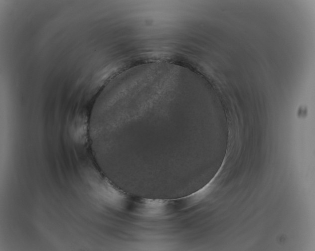 X0000092250144200709281151