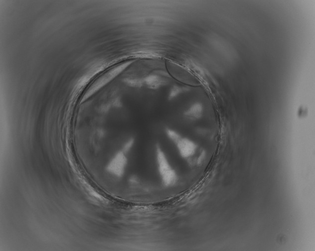 X0000092250145200709281151