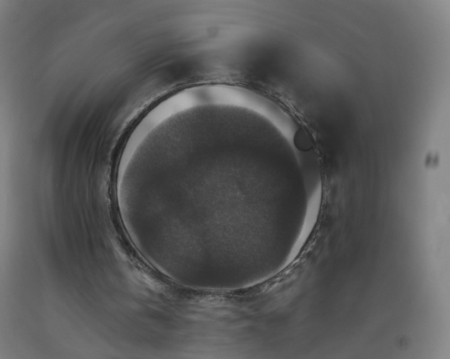 X0000092250146200709281151