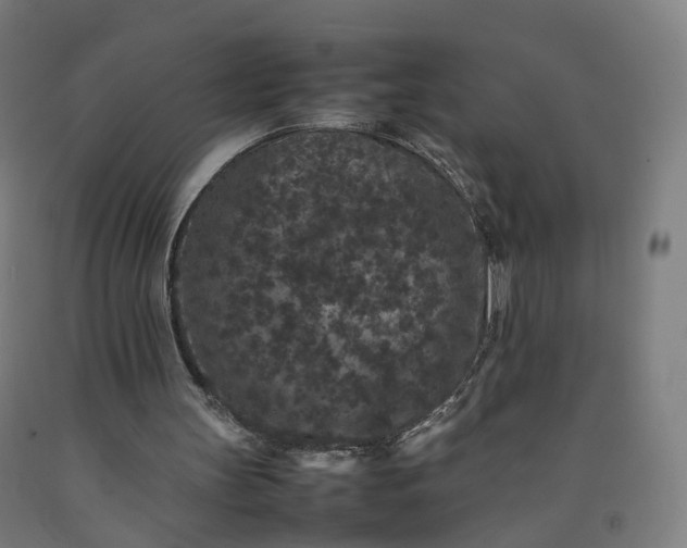 X0000092250147200709281151