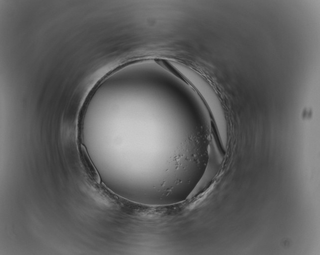 X0000092250148200709281151