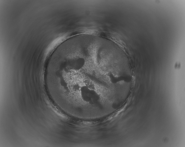 X0000092250149200709281151