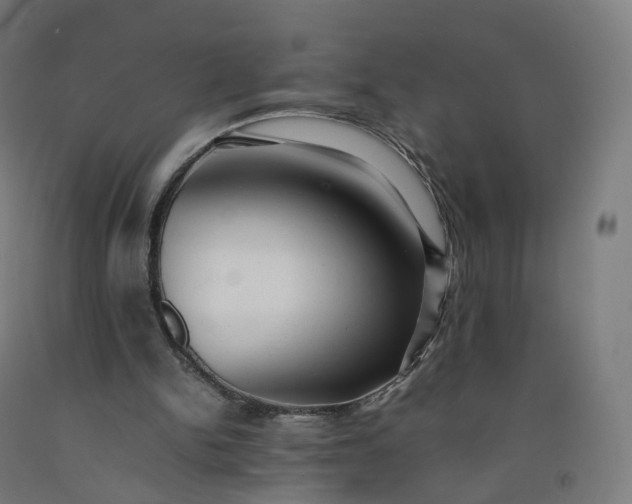 X0000092250150200709281151