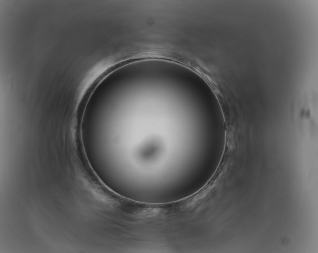 X0000092250152200709281151