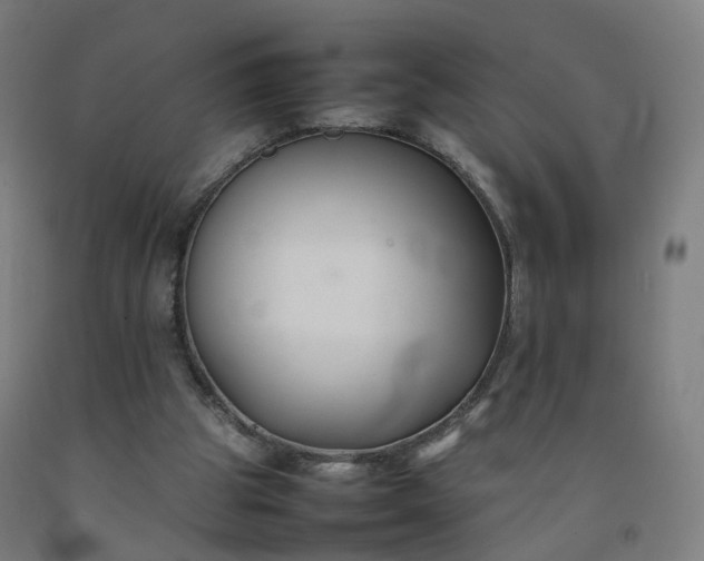 X0000092250153200709281151