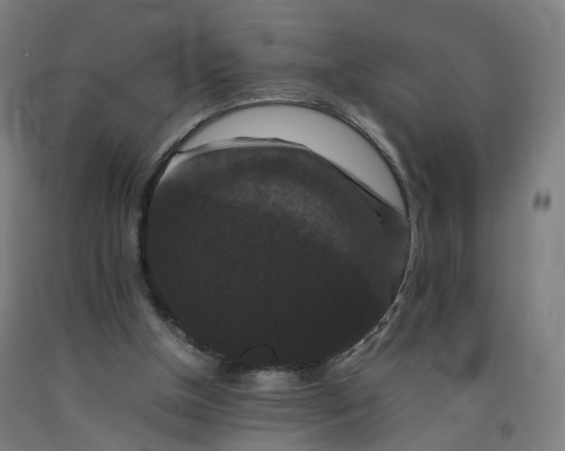 X0000092250154200709281151