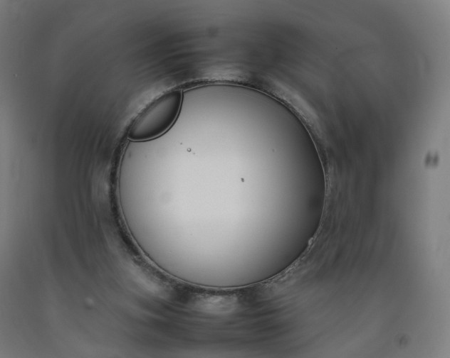 X0000092250155200709281151