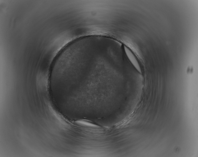 X0000092250156200709281151