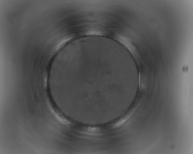 X0000092250157200709281151