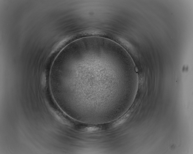 X0000092250158200709281151