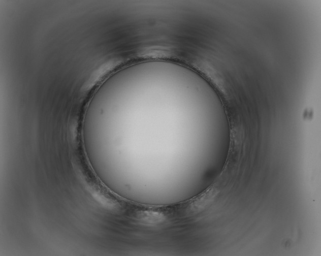 X0000092250159200709281151