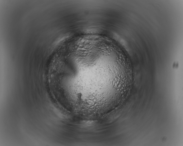 X0000092250161200709281151