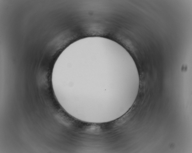 X0000092250162200709281151