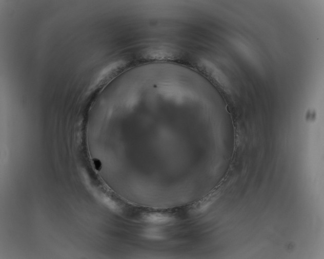 X0000092250163200709281151